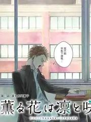综艺